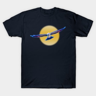 Hawk Starburst T-Shirt